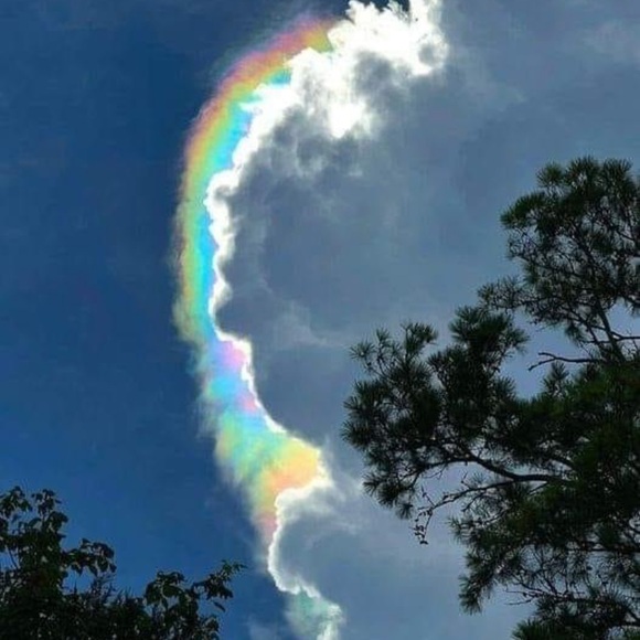 Meet your Posher, Jason - Picture 3 of 16